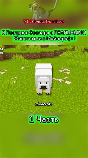 1 Часть Я Построил Зоопарк с РЕАЛЬНЫМИ Животными в Майнкрафт! #Mainkraft #рек