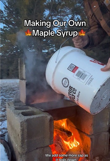 How to Make Maple Syrup at Home: A Step-by-Step Guide