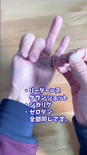 【質問】リーダーレスダウンショットとジカリグの違いは？(釣り)