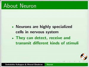 Neuron - English