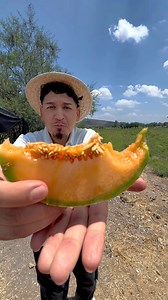 25K views · 660 reactions | Melones  y sandías  de la huerta entre Pastor Ortiz y La ExHacienda de La Calle, límites de Michoacán y Guanajuato ❤️ | Carlos Samaguey - Caminos de Mi Tierra | Facebook