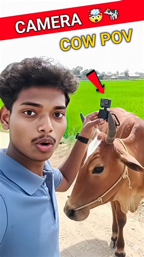 COw Mini Camera 🐄🤯