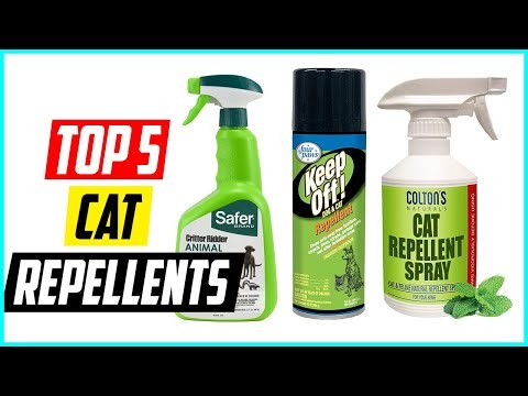 Best Cat Repellents for 2026