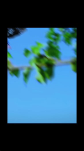 Matt Jones: MTB Tricks and Edits