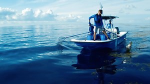 11M views · 1.5K shares | Plastic pollution is a global problem. And we’re about to launch a global solution. Visit 4ocean.com to learn more. #4ocean #OPRCampaign #JoinTheMovement | Origami Owl | Facebook