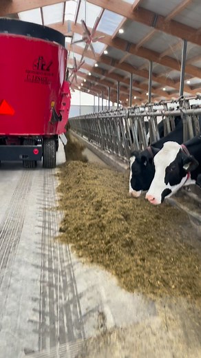 5.2 tons of Total Mixed Ration for dairy cows #dairyfarming #dairycows#tmr #TMRmixer #agriculturalmachinery #ModernFarming #fermkolly #quebec #canada | Mherma Magbanua