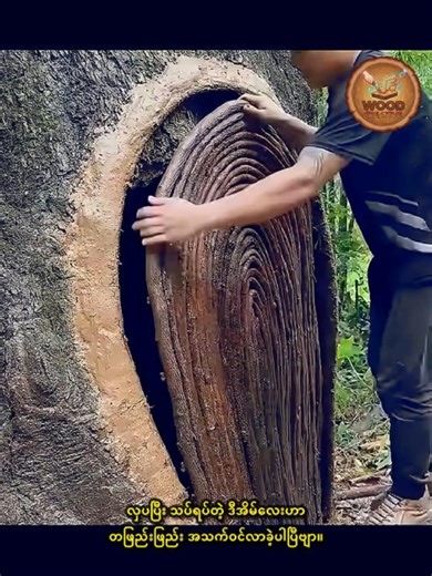 Amazing Woodworking & Craftsmanship Showcase