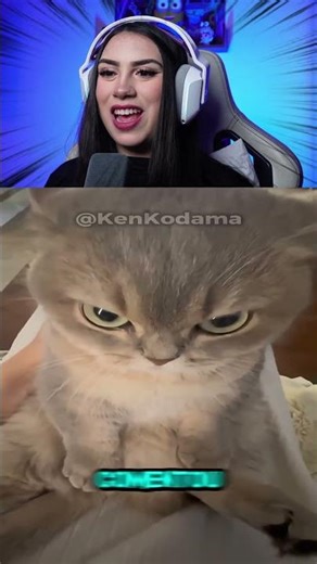 Nunca CONFIE 100% em um amigo 😬 IB @Koda