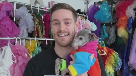 Tika the Iggy, a 13-year-old Italian greyhound, has gone viral with her flashy fashion looks, all styled by her dad, Thomas Shapiro. The dog dad says the fame was a “happy accident” that has led to working with top designers and book publishers. #TikaTheIggy #SocialMedia #Fashion | NewsNation