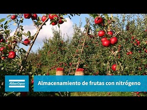 Atlas Copco | Gases | Capítulo 2 | Almacenamiento de frutas con nitrógeno