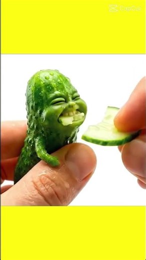 𝖢𝗎𝖼𝗎𝗆𝖻𝖾𝗋 𝖾𝖺𝗍𝗂𝗇 𝖺 𝖼𝗎𝖼𝗎𝗆𝖻𝖾𝗋