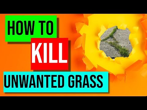 How to Kill Unwanted Grass