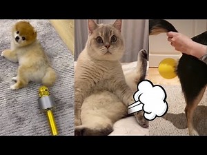 FUNNIEST Fart Reactions Caught on Camera!