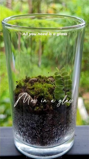 ഒരു glass terrarium ഉണ്ടാക്കിയാലോ?