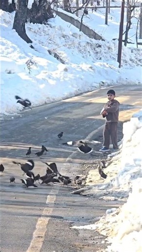 A Small Boy from Kashmir with a Big Heart 🥹