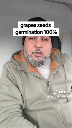 fastest way to germinate grape seed#foryoupage #fypシ゚viral #fypシ #backyardvibes #diy #tiktok #diyproject #gardening #seeds #plantcare