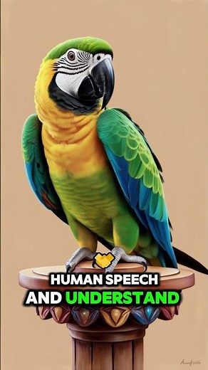 The Strangest Animal Behaviors You've Never Seen! #wildlife #animals #8kwildlife #nature