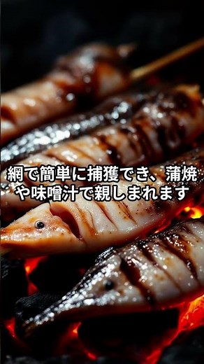 【実は知らない】『動物雑学』「ヤツメウナギ」