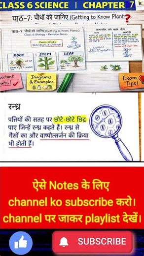 Class 6 Science Chapter 7 पौधों को जानिए 🌿 | Full Chapter Explained | NCERT