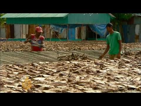 Maldives community moved after 2004 tsunami - 24 Dec 09
