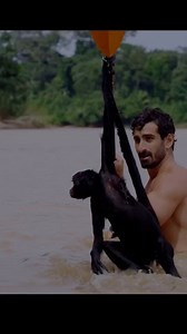 Sound ON 🔊 Becasue this is one of the most incredible things I’ve ever experienced. When we saw this little female spider monkey drowning I jumped in to help. At first she was scared of me. Then I spoke to her in her own language and she looked at me with this expression like WHAT? And you can hear her say it. But kept reassuring her until she trusted me just enough to accept the ride.You can read about the story in a new article on @mongabay called World Wildlife Day 2025: What I Learned Speak