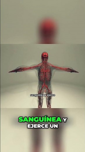 Romero ¡Tu aliado natural contra la inflamación y el corazón!/#recetasyremediosdeyulio