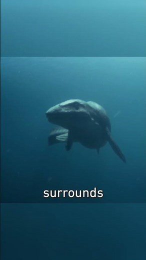 The First Cell That Started Everything!