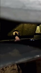 BMW has a MASSIVE oil leak