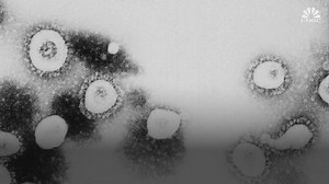 Coronavirus spreads, death toll rises as Wuhan, China, builds new hospital