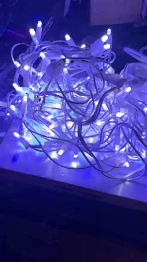 Dual Colour Two Chip Blue and Cool White String Light