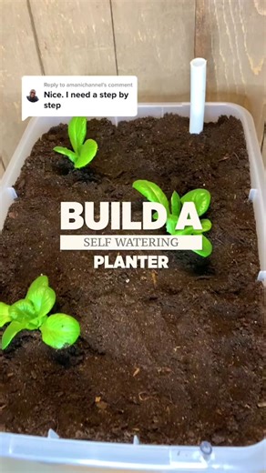 DIY Food Container Planter for Your Garden