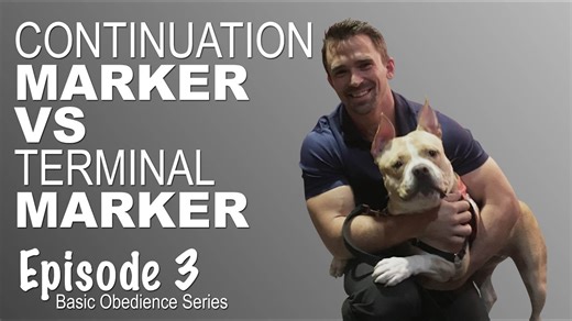 Dog Training ¦ Continuation Marker vs The Terminal Marker