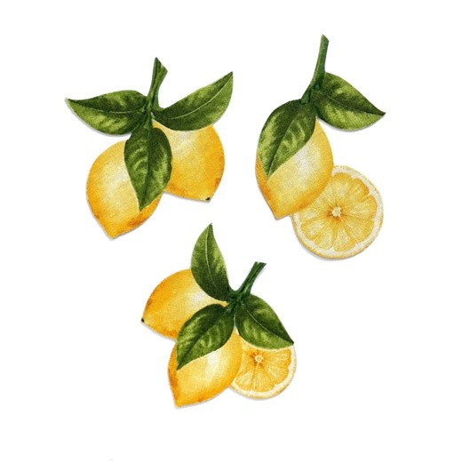 Hand-cut Fabric Magnet - Flexible and Decorative - Set 2 - Lemons - Etsy