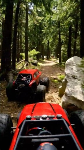 Scale Racing: The Great RC Truck Forest Rally!