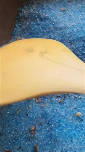 |Pink to Blue MAGIC! 🔵✨ |Silica Gel|fringed fantasy|#shorts #diy #hack