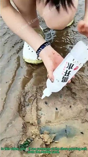 Catching Razor Clams with Salt at the Seaside