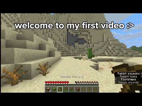 Weird minecraft audio bugs