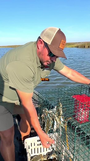 Some may even call it a… Crabspiracy 😳If you want real Maryland crabs, make sure you’re getting them from folks getting them straight from the water and selling directly to consumer like @luke_mcfad and @fvmisspaula! In Maryland, less than 2% of the crab meat sold is locally sourced, with the majority being imported from North Carolina, Louisiana, and Texas. Despite this, there are local crabbers who sell freshly caught Maryland crabs directly to consumers. Many of the crabs enjoyed in Maryland