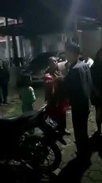 Dogs vs humans are horrified