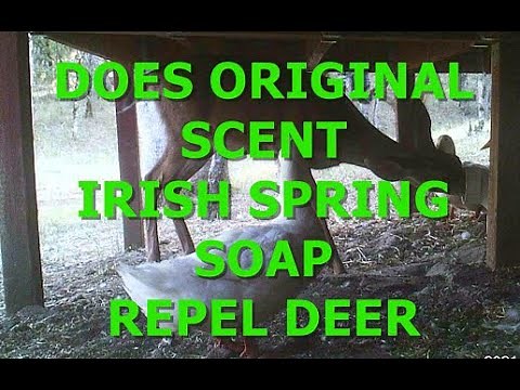 DOES ORIGINAL SCENT IRISH SPRING SOAP REPEL DEER
