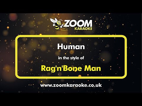 Rag'n'Bone Man - Human - Karaoke Version from Zoom Karaoke