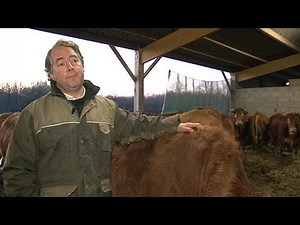 L'abattage traditionnel menacé selon des éleveurs