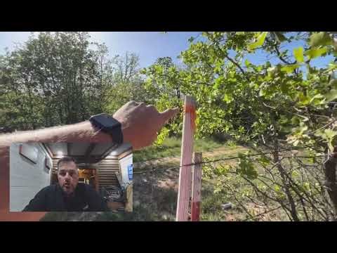 Texas Fence Laws and Common Fence Knowledge