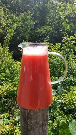 Refreshing Watermelon & Lemon Juice