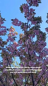 Japan 🇯🇵 spring time,full bloom na ng Yaezakura. My perfect shot for today.. | Favorite Quotes of all time