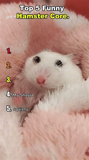 Funny Hamster Core.