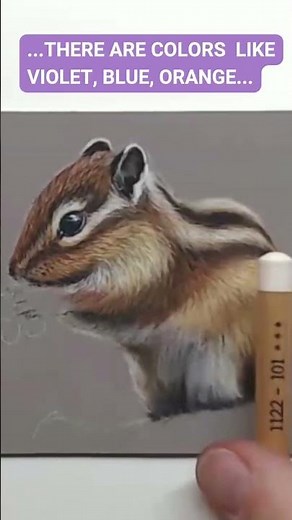 How to Draw a Chipmunk—Step by Step (Easy & Fun!)