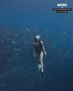 71K views · 309 reactions | Simply breathtaking | Metro | Facebook