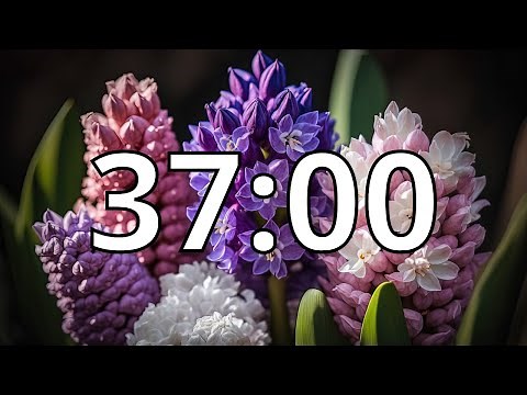 37 Minutes Timer with Music | Spring Timer