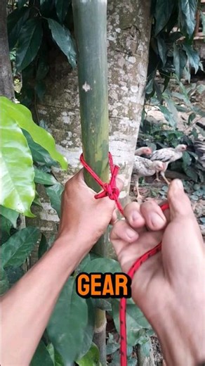 Unbreakable Tree Knot You Must Learn! #knot #rope